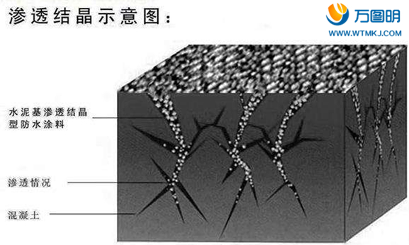 滲透結晶
