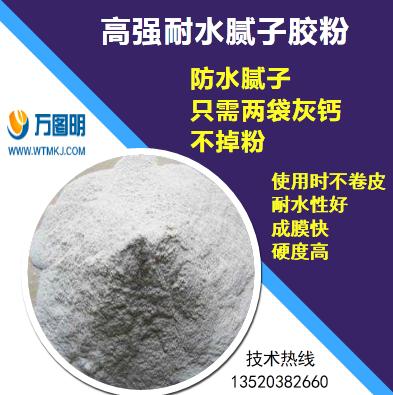 耐水膩子膠粉