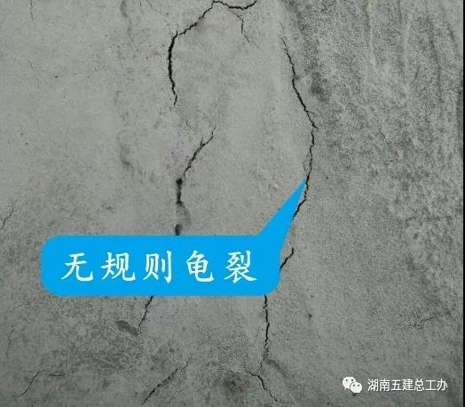 無(wú)規(guī)則龜裂